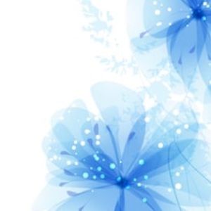 Meet your Posher, Hayley